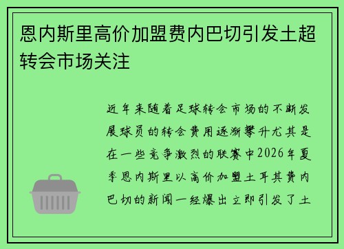 恩内斯里高价加盟费内巴切引发土超转会市场关注